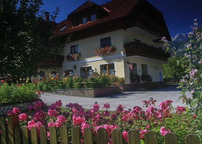 Πανσιόν Pichler 3*